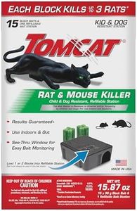 Tomcat Rat