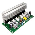 Elexify 300W Mono Amplifier Board