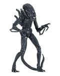 NECA 51647 634482516478 Alien Ultimate Warrior Blue Figure, 23 Centimeters