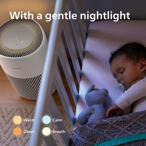 Philips 2200 Air Purifier – HEPA Filter, Large Room Coverage