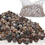 BANBERRY DESIGNS Big Bag of Mini White Washed Pinecones - Approx. 900 Grams of Small Assorted Sized Pine Cones - Fall and Christmas Craft