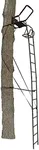 17' Warrior DXT Ladder Stand, Camo/