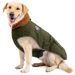 IREENUO Waterproof Dog Coat, Dog Winter Jacket for Medium Large Dogs, Warm Winter Dog Jacket Dog Cold Weather Coats with Adjustable Buckle for Fall Winter, XL