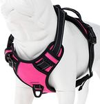 Coohom No Pull Dog Harness with Handle and Two Leash Attachments,Adjustable Outdoor Pet Harness with Reflective Oxford Material for Small Medium Large Dogs (M, Rose Red 2022)