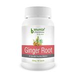 Ginger Root For Dogs