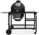 Flintex 22 Inch Kamado Grill,Charcoal & Wood Smoker Grill with Rolling Cart, Multi-Function BBQ Grill with Stainless Steel Warming Rack, Pizza Stone, and Vegetables Basket for Outdoor Backyard Cooking