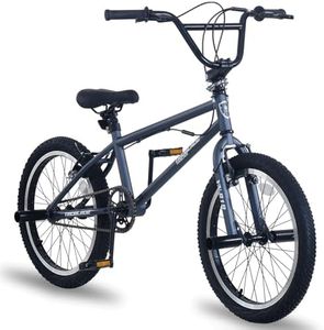 LSBIKE 20 Inch BMX Bike Freestyle BMX Bicycle with Black Steel Frame, 360° Rotatable Handlebar, Front & Rear Pegs, Aluminium Rims, Dual Brakes, for Teens & Adults (Grey)