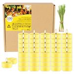 100 Pack Citronella Tealight Candles in Clear Cup, Summer Scented Candle Outdoor and Indoor, for Birthday Emergency Home Garden(4 Hour, Yellow)