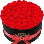 Forever Real Roses in Suede Box - 47-Piece Roses in a Box - Luxury Preserved Roses That Last Over a Year - Valentines Day Flowers for Delivery Prime - Mothers Day, Birthday, Christmas (Red)