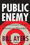 Public Enemy: Confessions of an Ame