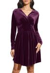 Jayscreate Women's V Neck Velvet Dress 2024 Long Sleeve Skater Flowy Elegant Tunic Wedding Guest Cocktail Party Dress Purple