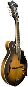 Washburn M
