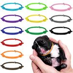 tonyg-p 12pcs Puppy ID Collars Whelping Collars Adjustable Puppy ID Bands Identification Puppy Collar for Dog Kitten Newborn Pet,Multi Coloured (S,12-20CM)