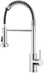 FORIOUS WELS Chrome Kitchen Tap wit