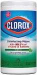 Clorox Disinfecting Wipes, Bleach F