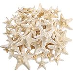 Okllen 40 Pieces Knobby Starfish Seashell, ArtificialMixed Beach Starfish 1" to 2" and 2" to 3", DIY Crafts Sea Shells Stars Ocean Starfish for Wedding Decor, Beach Theme Party, Home Decoration, White