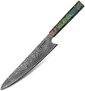 hajegato Damascus Chef Knife Unique One of Kind Handle Professional Japanese Chefs Kitchen Knife Vg10 67 Layers Damascus Steel Knive (Gyuto 10")