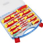 Spartan 10 in1 Insulated Screwdriver Set | Electrician Tools Kit | with Interchangeable Blades for Appliance Repair, DIY Electrical Projects, Electronics Repair (Pack of 1)