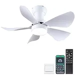 Kviflon Ceiling Fans with Lights an