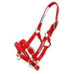 Monty Roberts Official Dually Training Halter SMALL (with FREE DVD)