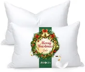 zibroges Feather Pillows Queen Size Set of 2 - Goose Down Hotel Bed Pillow for Sleeping, Soft 600 Thread Count Cotton Cover, Fluffy Support Surround Fill Polyester for Side, Back, Stomach Sleepers