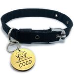 Pawpro Adjustable Nylon Dog Collar with Secure D-Ring from Small - Medium to Large Breeds (Black, Medium)