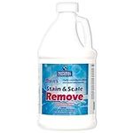 Leslie's Stain and Scale Remover fo