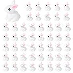 KIMOBER 50PCS Mini Bunny Miniature 