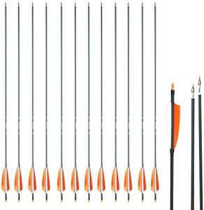 SAS Oblivion 30" Carbon Arrow 500 w/ 4" Feathers (12/Pack) Fletched with Extra 6xNocks + Replaceable Points (100-Grain) w/ O-Ring + Protect Sleeve + Plug Nock for Hunting Youth/Adults - (4" Feathers)