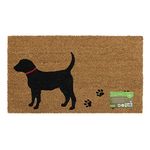 JVL Eco-Friendly Latex Backed Coir Door Mat, Puppy Love, 40 x 70 cm Approx. (02-838)