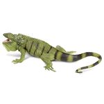 Safari Ltd Iguana Adult