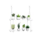 Hanging Clear Plant Shelves for Win