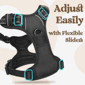 rabbitgoo Large Dog Harness – No-Pull Adjustable, Black