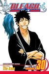 Bleach, Vol. 30 (Volume 30): There Is No Heart Without You