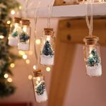 NYRWANA Battery Operated String Lights Mini Wishing Bottle Christmas Tree Snowflake Xmas Lights