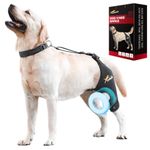 Dollephi Dog Knee Brace for Torn ACL Hind Leg, Support for Patella Dislocation or Osteoarthritis, Cruciate Ligament Injuries, Cut-Out Non-Slip Wrap Promotes Patellar Stability(Left Leg,XL)