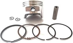 Sadaiv Nipun Dil Se Desh Seva Gx35 Engine Piston Kit 39Mm: Replacement Parts For 4-Stroke Brush Cutter Trimmers - Includes Piston Ring Set