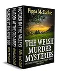 THE WELSH MURDER MYSTERIES: Detecti