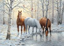 Cobble Hill 1000 Piece Puzzle - Winter Trio - Sample Poster Included