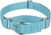 Country Brook Petz - Martingale Dog Collar - Heavy-Duty Training Collar with No Buckle - Service Dog Collar for All Pups - 20 Vibrant Colors (Ocean Blue, 1 Inch, Large)