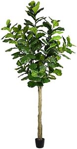 Vickerman 