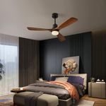 Chriari Modern Ceiling Fans with Li