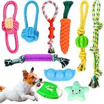 Dog Rope Toys Dog Chew Toys for Puppy, 10 Pack Durable Puppy Teething Braided Rope & Rubber & Plush Squeak Toys Set for Small Dog Interactive Playing, Teeth Cleaning and Training