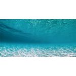 AWERT 72x24 inches Undersea Aquarium Background Pool Ocean Floor Aquarium Background Underwater Fish Tank Background