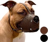 CollarDirect Leather Basket Dog Muzzle for German Shepherd Staffordshire Terrier Pitbull Medium Large Breeds Training, Anti-Barking, Biting, Chewing (Brown)