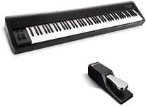 Pro MIDI Controller Bundle - Piano Style Weighted USB MIDI Keyboard Controller with Sustain Pedal and Hammer Action Keys - M-Audio Hammer 88 + SP-2