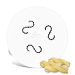 MY Pasta - Casarecce Fusilli - Accessories for pasta maker - Pasta disc compatible with Philips Pasta Maker Avance - Dies pastadisc for homemade pasta