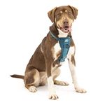 Kurgo, Enhanced Strength Tru-Fit Smart Harness for Dogs, Ink Blue, Medium