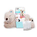 ALL FOR PAWS AFP Snuggle Sheep Pet Behavioral Aid Toy Warm Plush Toy Warm Bear ((No Heartbeat Only Warming Bag)