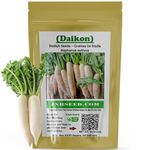 Minowase Japanese (Daikon) Radish Seeds (Approx. 600 Seeds-10 Grams) Fast Growing and Nutritious | Perfect for Asian Cuisine | Non-GMO and Easy to Grow